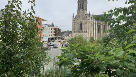 La forêt prospère en ville.  Une intention louable, mais les méthodes utilisées sont peu éprouvées et l’avenir des plantations pas toujours garanti ©P.Fayolle